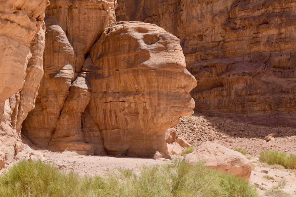 Harmony Luxury Camp Hotel Wadi Rum Ngoại thất bức ảnh