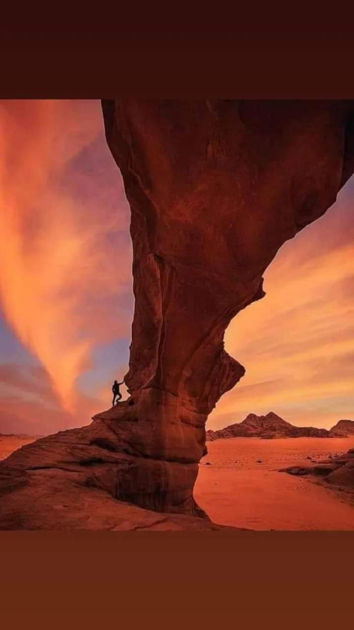 Harmony Luxury Camp Hotel Wadi Rum Ngoại thất bức ảnh