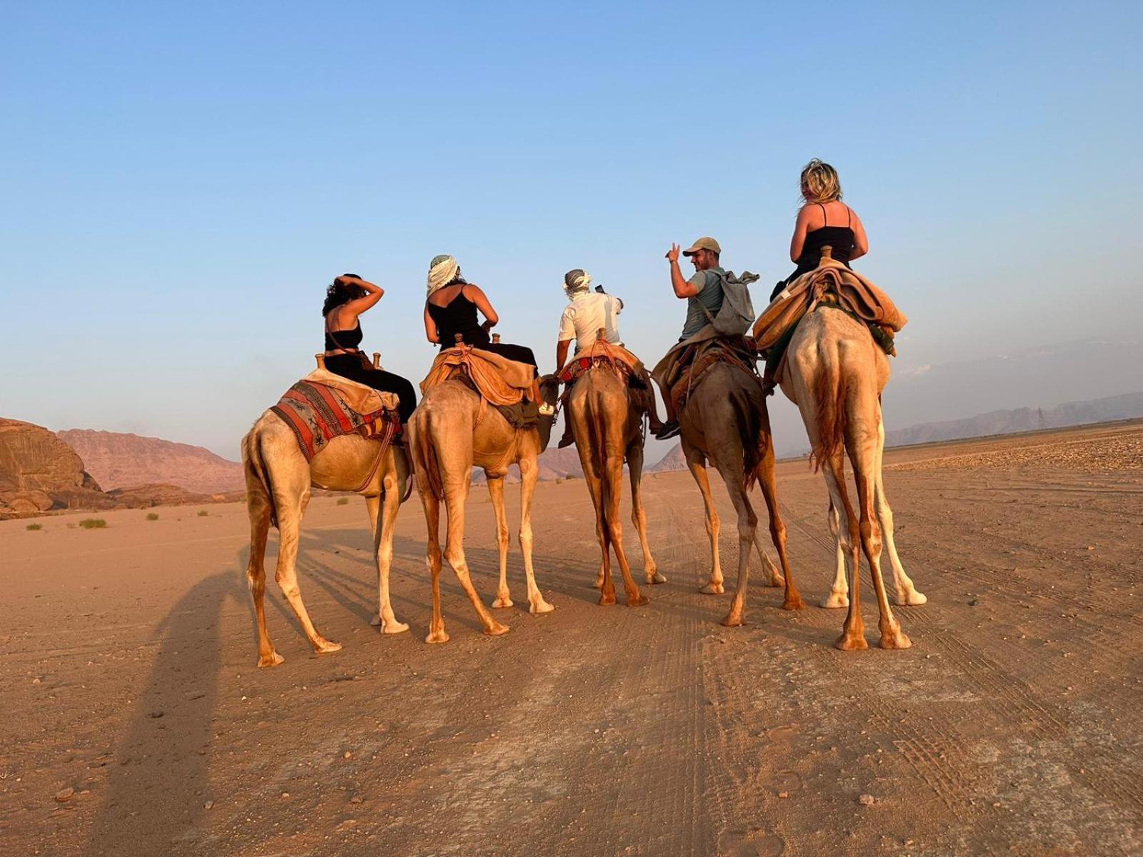 Harmony Luxury Camp Hotel Wadi Rum Ngoại thất bức ảnh